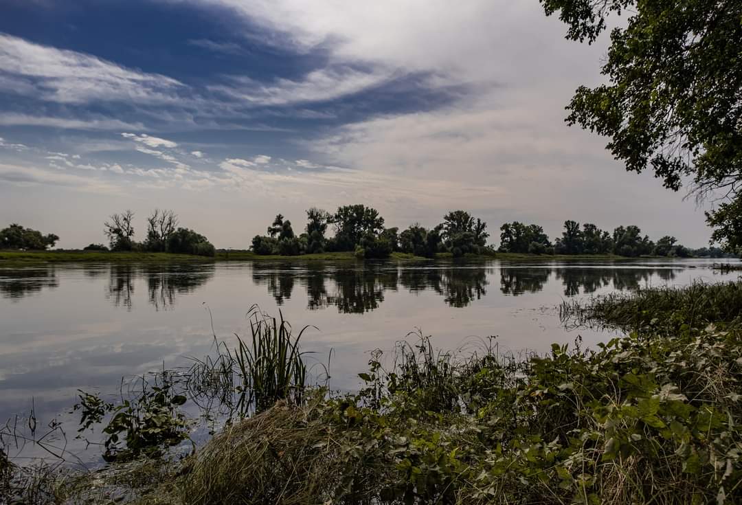 Mittlere Elbe