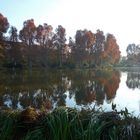 Mittlerer Schlossgarten Stuttgart