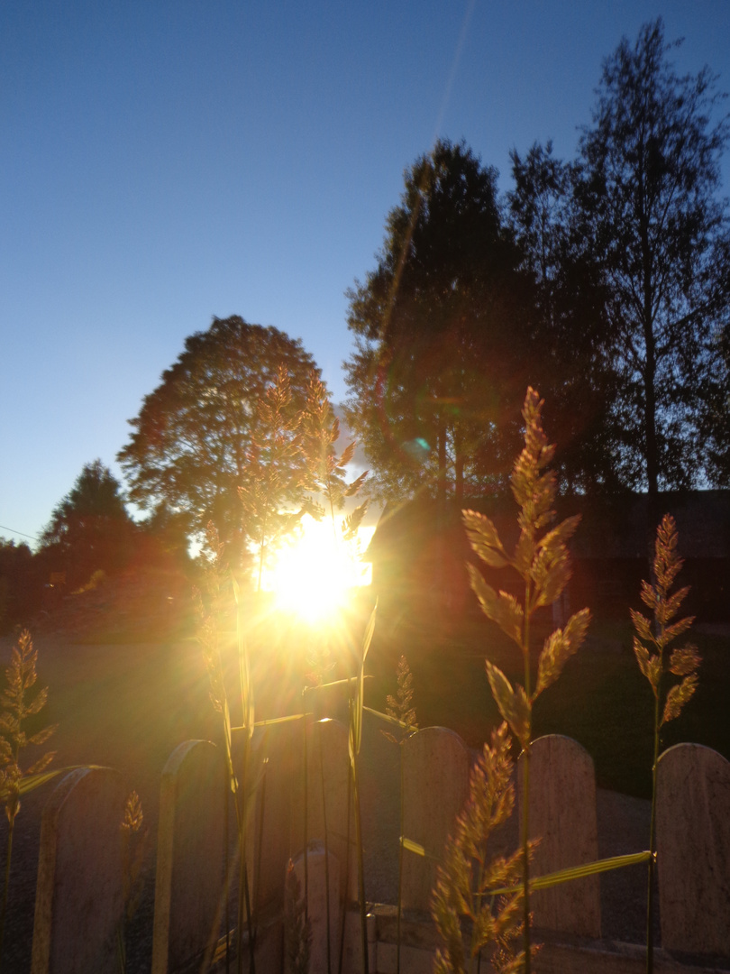 Mittsommer - Sonnenuntergang