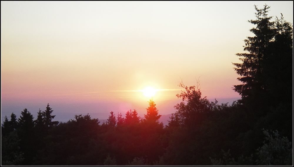 Mittsommermorgen 2008