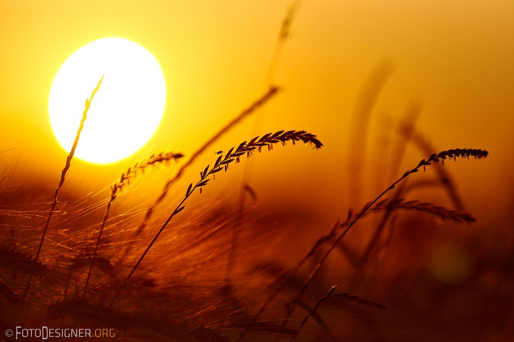 « Mittsommernacht im Pott »