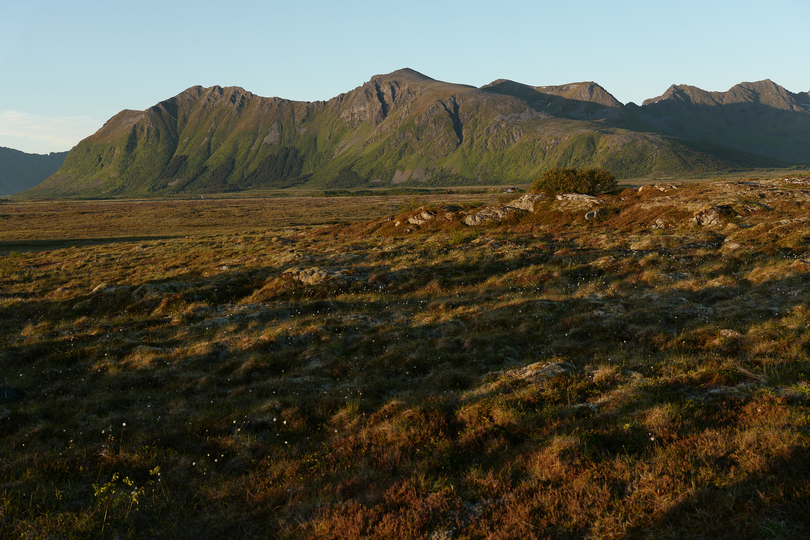 Mittsommernacht Lofoten 2