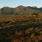 Mittsommernacht Lofoten 2