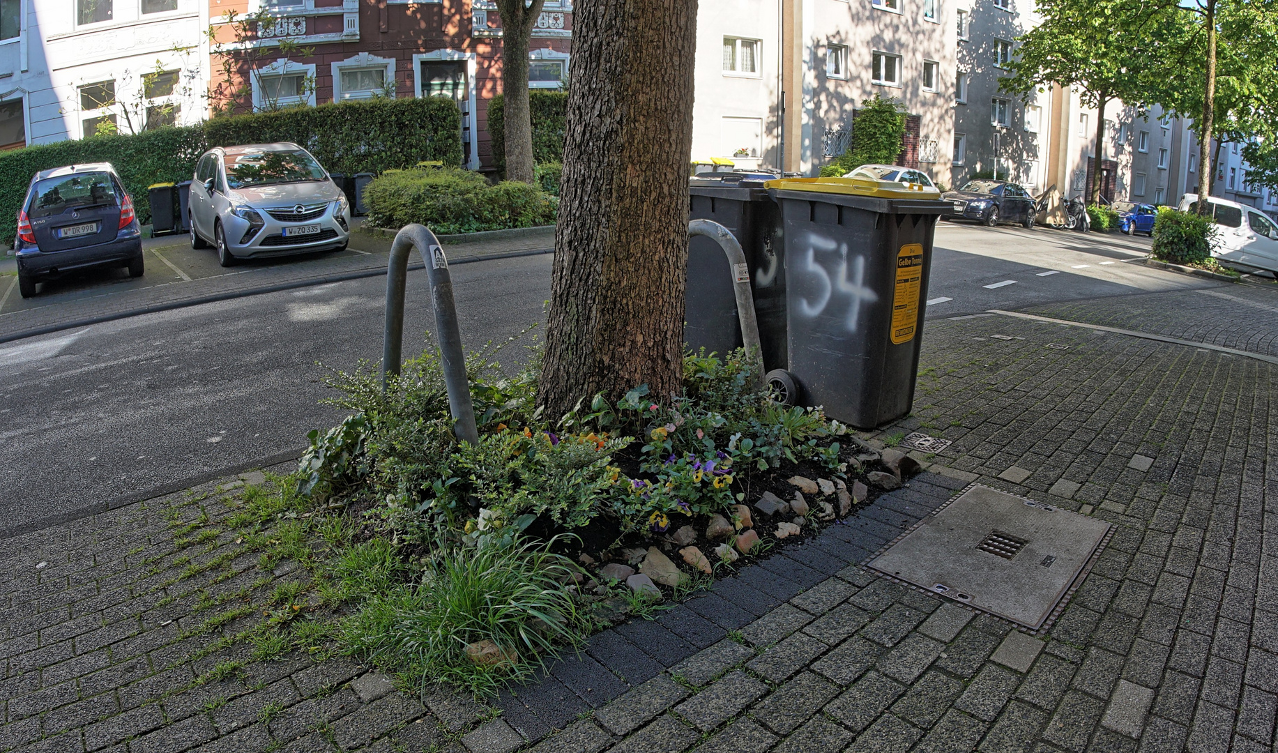 Mittwoch Blümchen - Guerilla Gardening