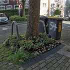 Mittwoch Blümchen - Guerilla Gardening