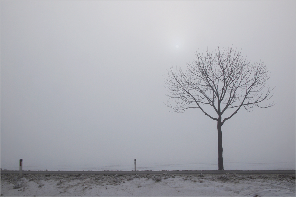 mittwoch nebel