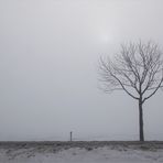 mittwoch nebel