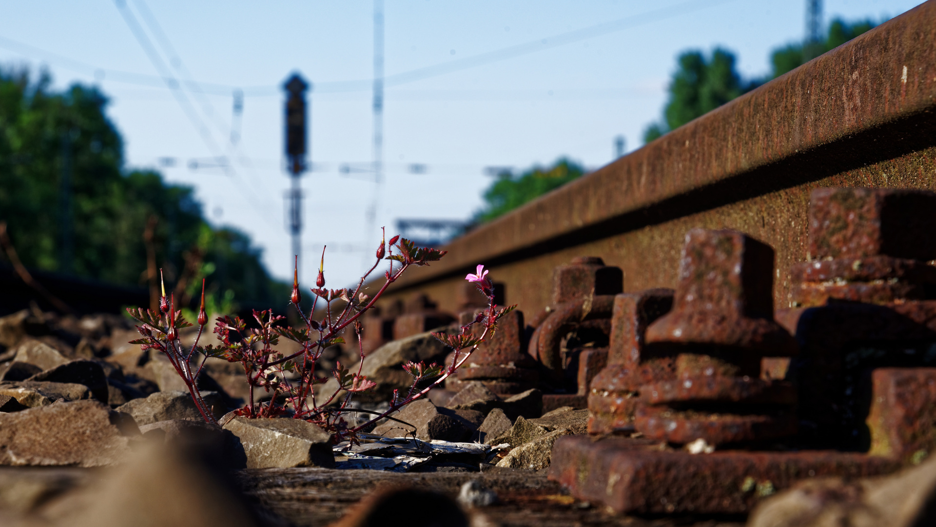 Mittwochs an der Bahn - konspiratives Treffen