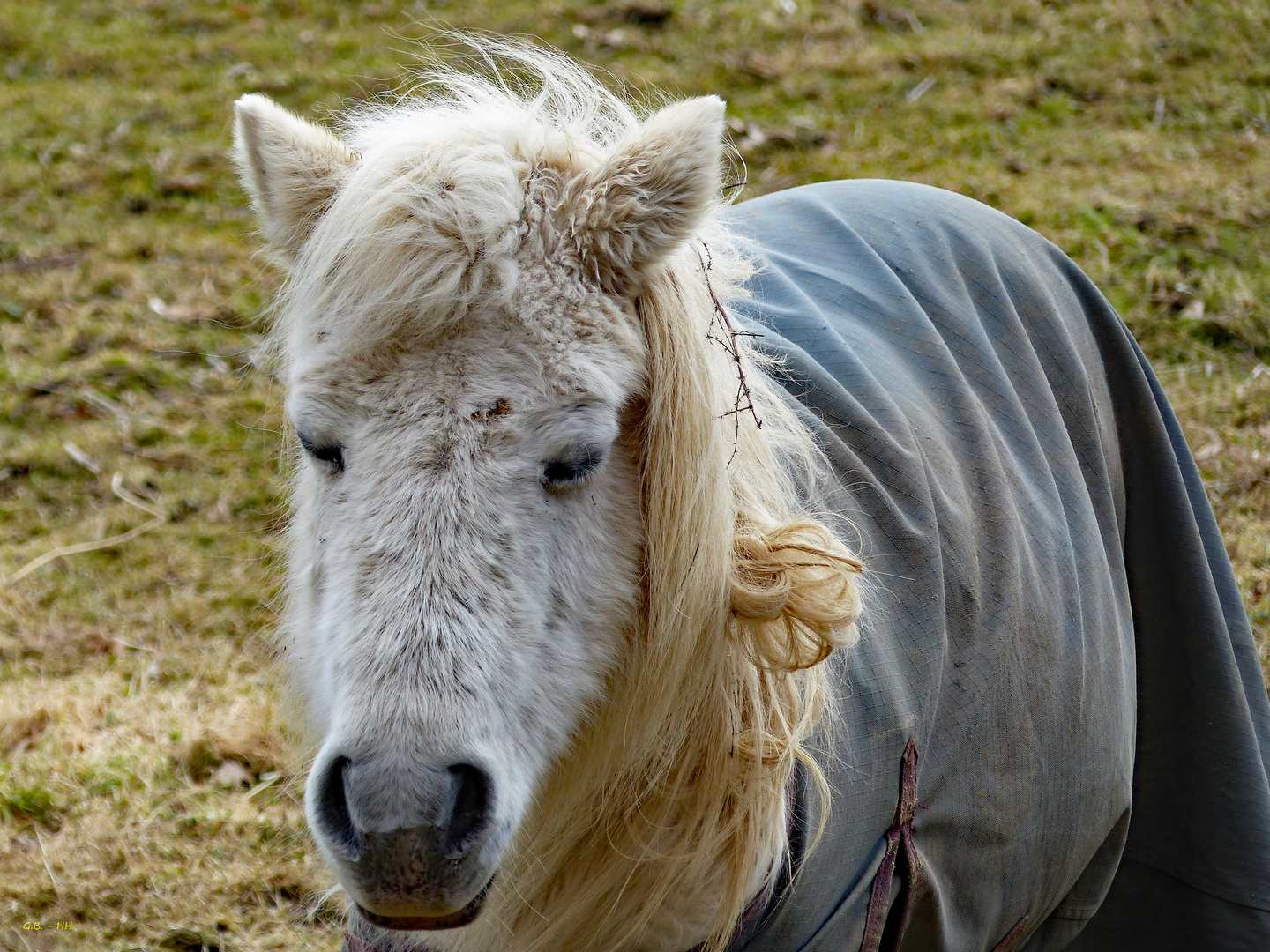 "Mittwochs trage ich meine Haare immer offen...."