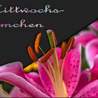 *** Mittwochsblümchen - 33. Woche ***