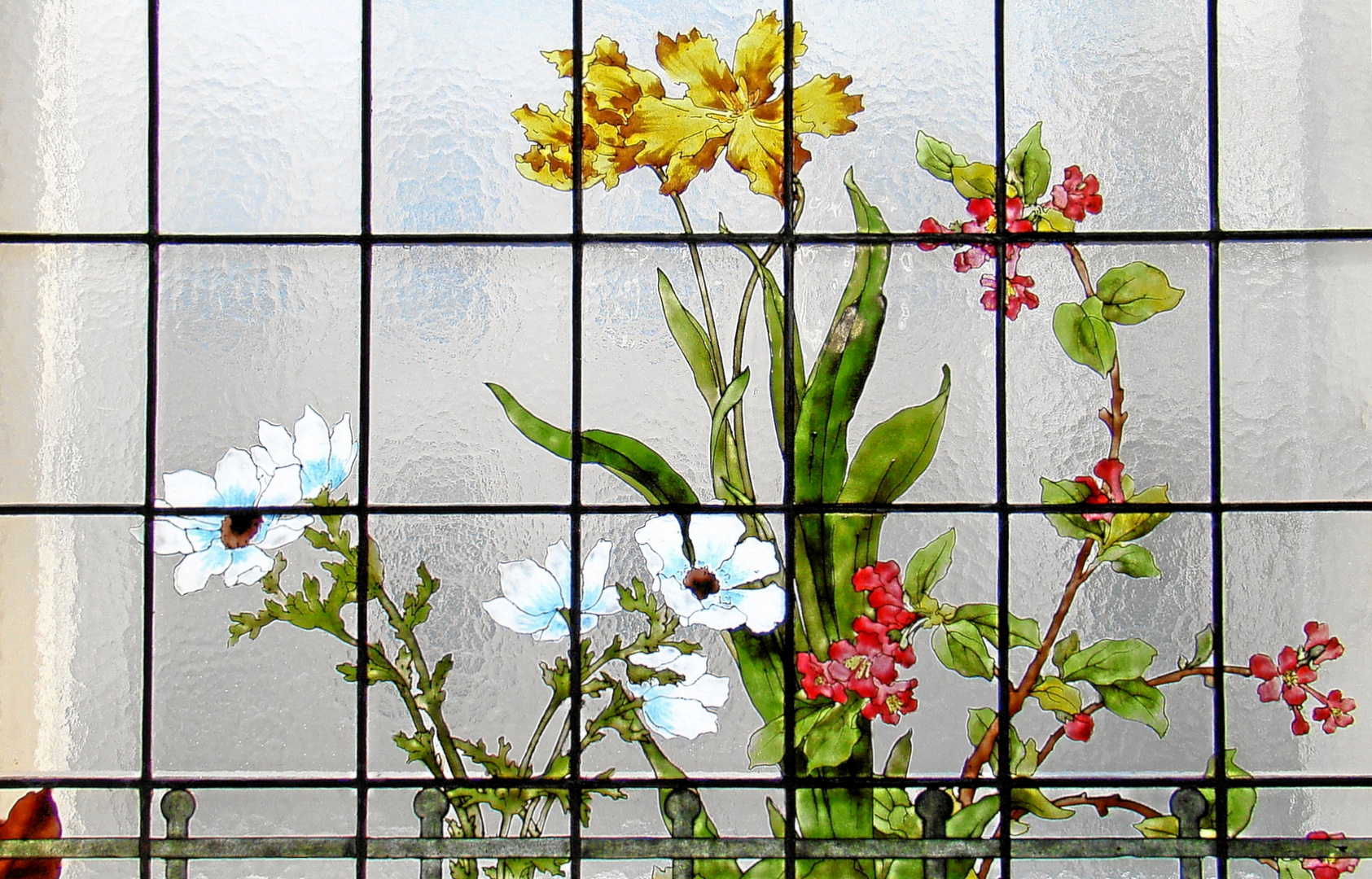 Mittwochsblümchen am Fensterglas