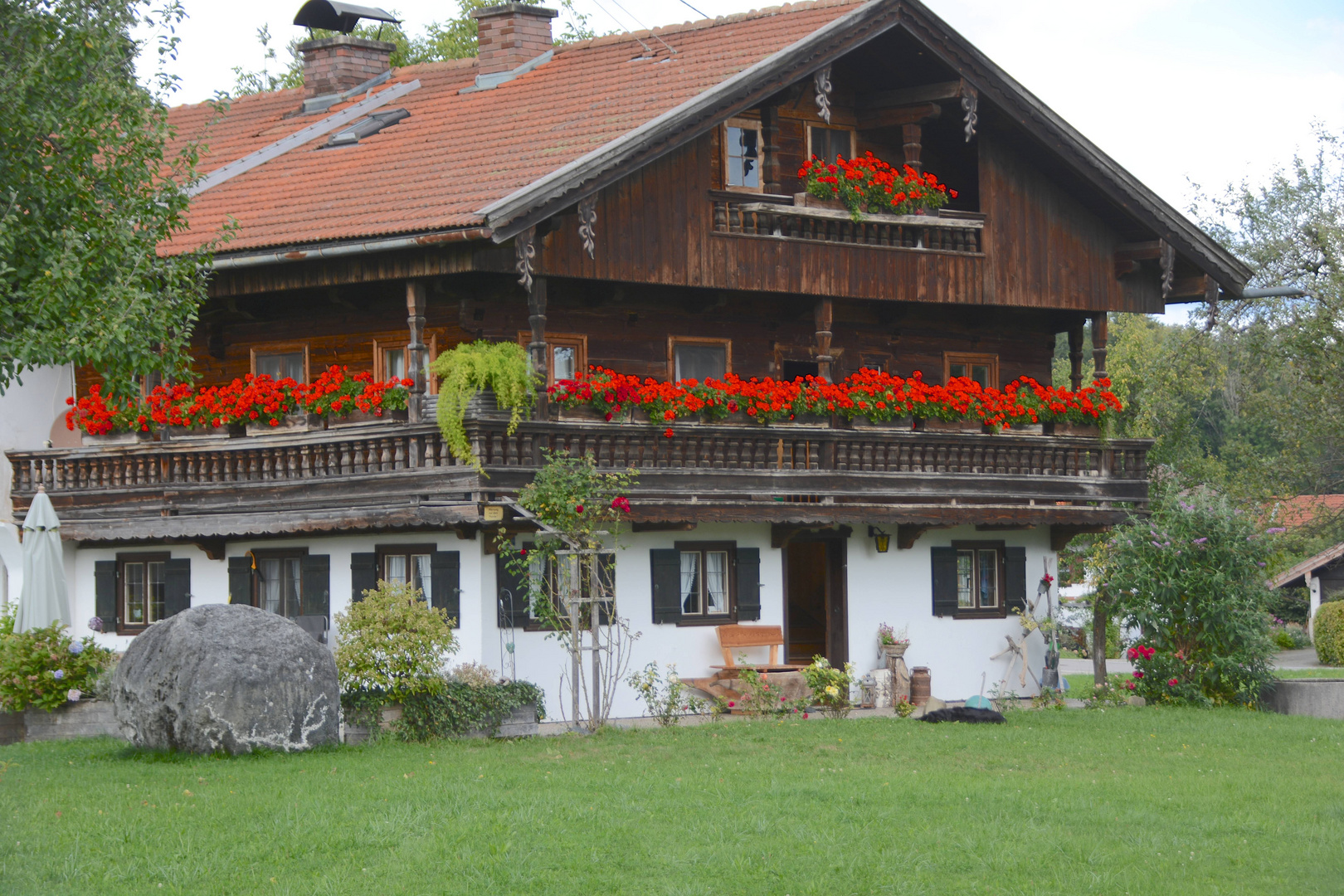 Mittwochsblümchen auf bayrisch