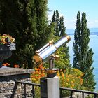 Mittwochsblümchen auf der Mainau mit Blick auf den Bodensee