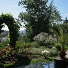 Mittwochsblümchen aus dem Klostergarten Melk