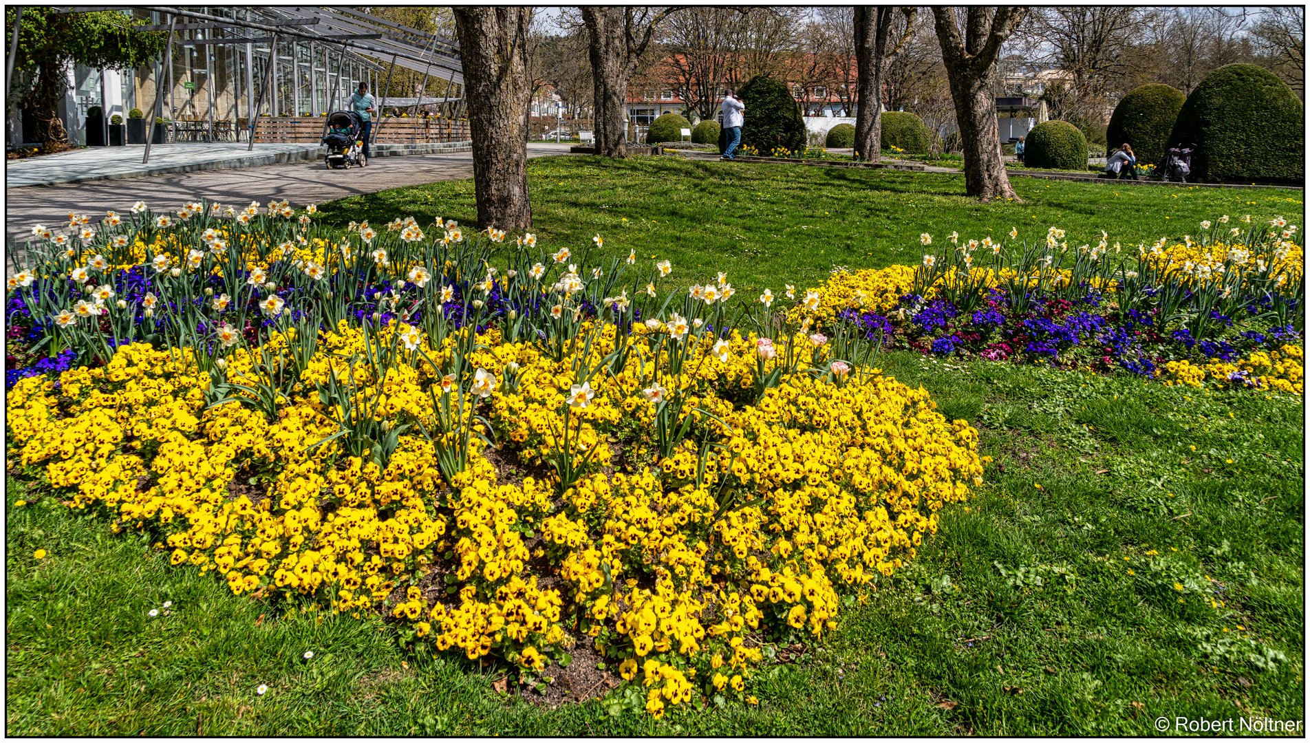 Mittwochsblümchen aus dem Kurpark