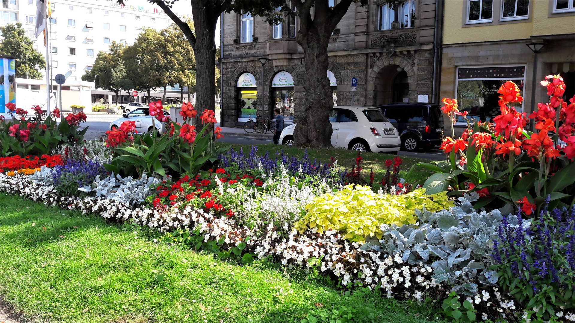 Mittwochsblümchen: Bayreuth 30.8.2019