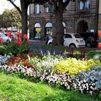 Mittwochsblümchen: Bayreuth 30.8.2019