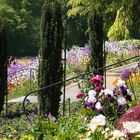 Mittwochsblümchen - Blühende Gartenkunst auf der Mainau