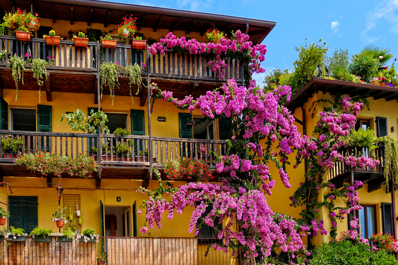 Mittwochsblümchen - Blütengeschmückte Häuser in Limone am Gardasee