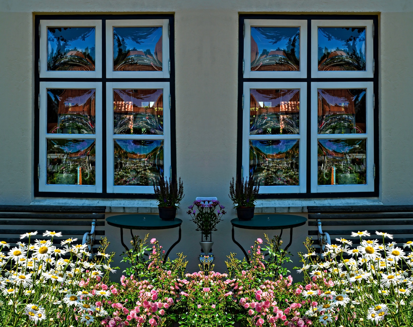 Mittwochsblümchen - Blütenpracht vor einem schmucken friesischen Haus