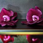 Mittwochsblümchen - Collage mit lila Blüten