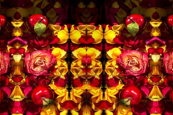 Mittwochsblümchen - Eine Collage für die Sinne ....