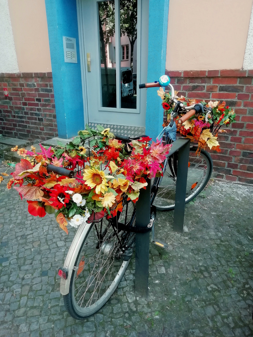 Mittwochsblümchen-Fahrrad