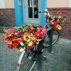 Mittwochsblümchen-Fahrrad