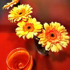 Mittwochsblümchen - Gelbe Gerbera und ein Glas Wein