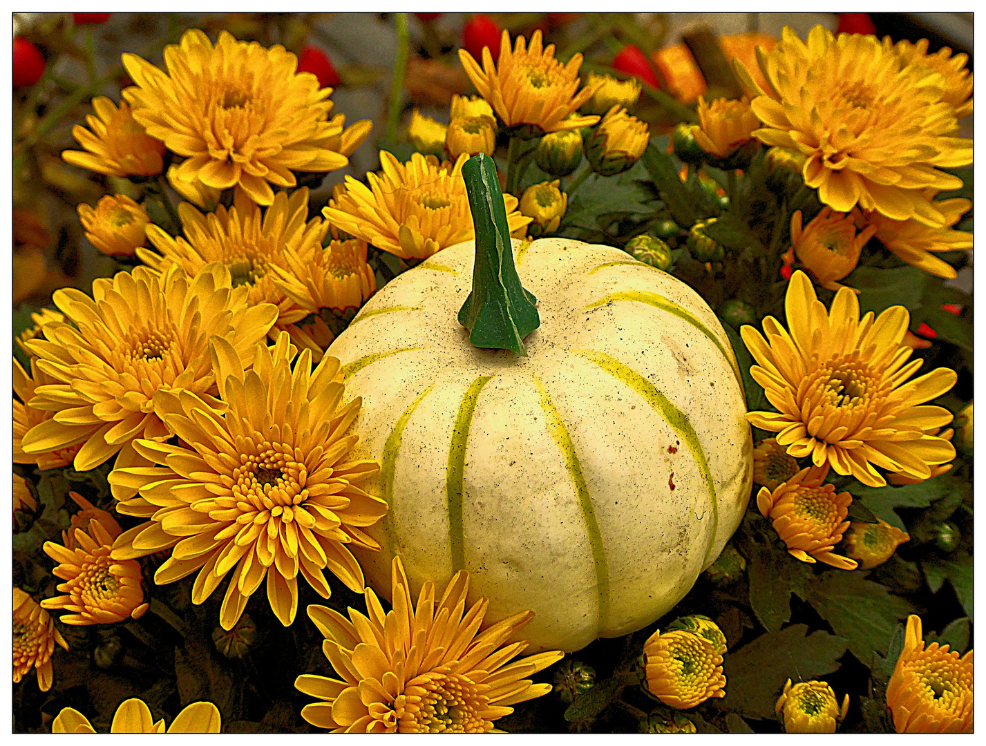 Mittwochsblümchen- Herbstdeko