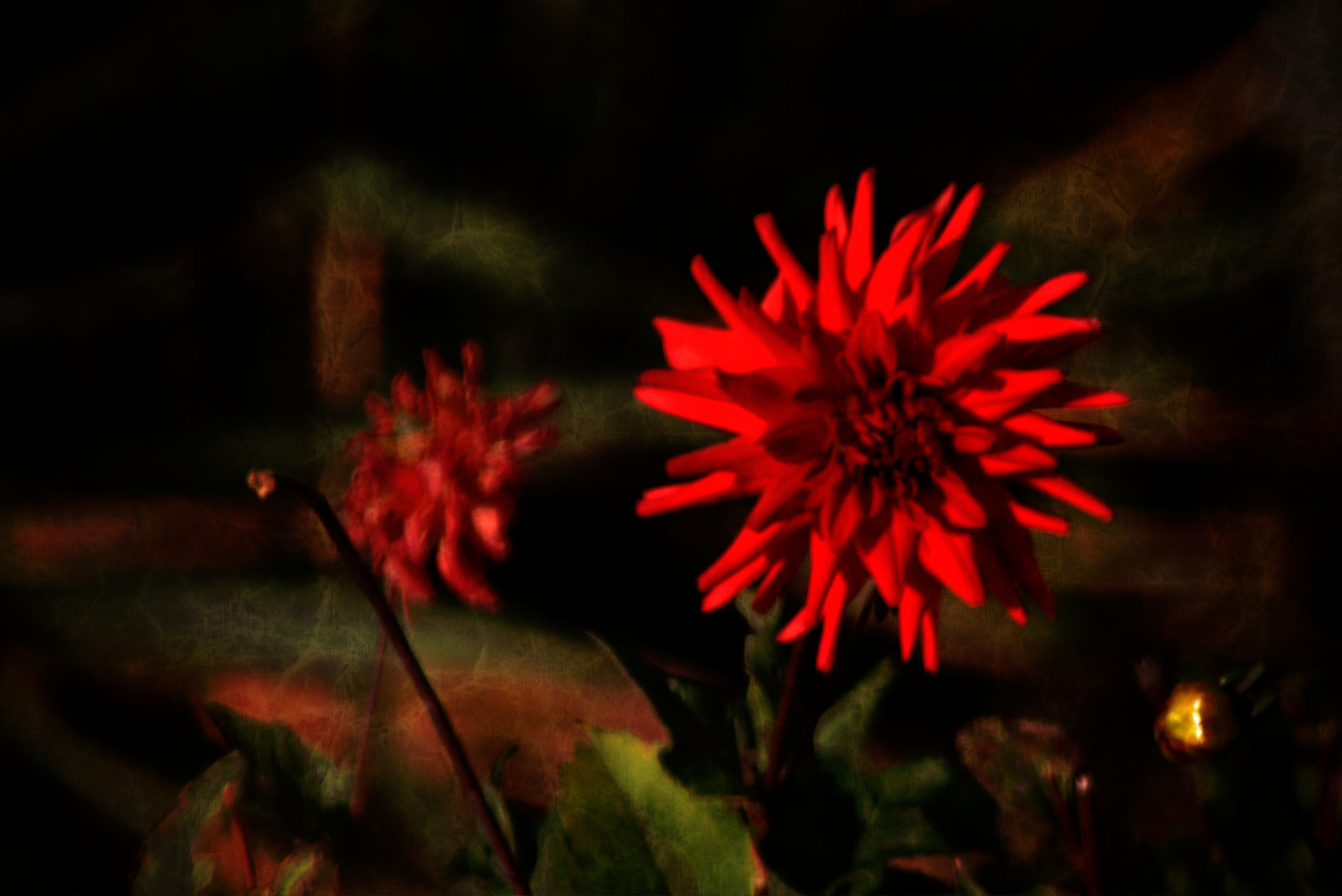 Mittwochsblümchen - Im herbstlichen Rot