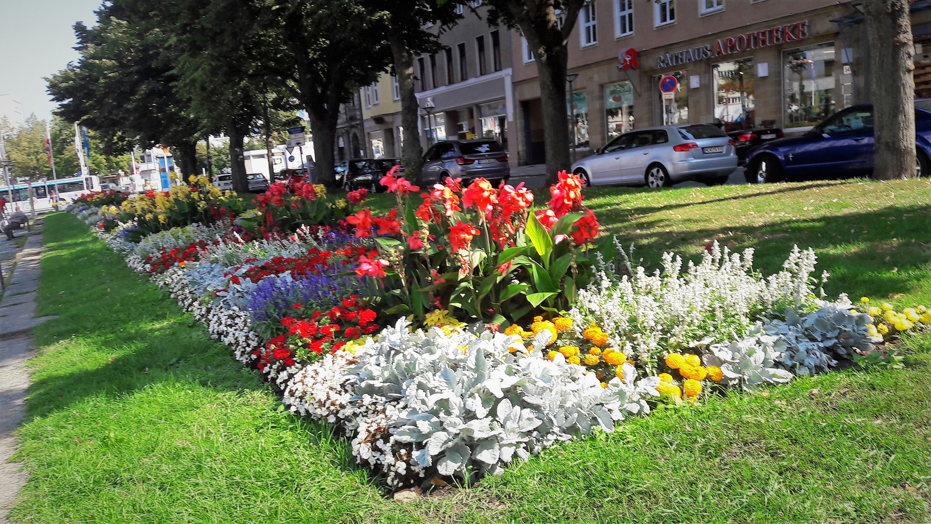 Mittwochsblümchen in Bayreuth Bahnhofstraße