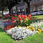 Mittwochsblümchen in Bayreuth Bahnhofstraße