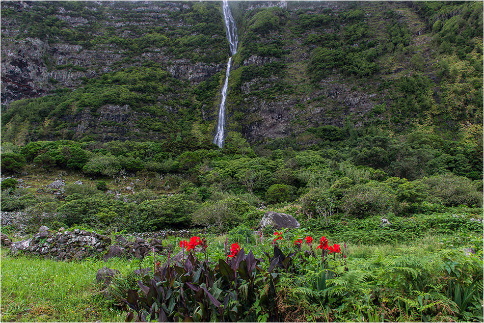 Mittwochsblümchen mit Wasserfall