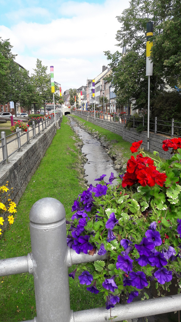 Mittwochsblümchen: Münchberg  Blick von der Brücke