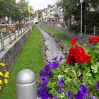 Mittwochsblümchen: Münchberg  Blick von der Brücke