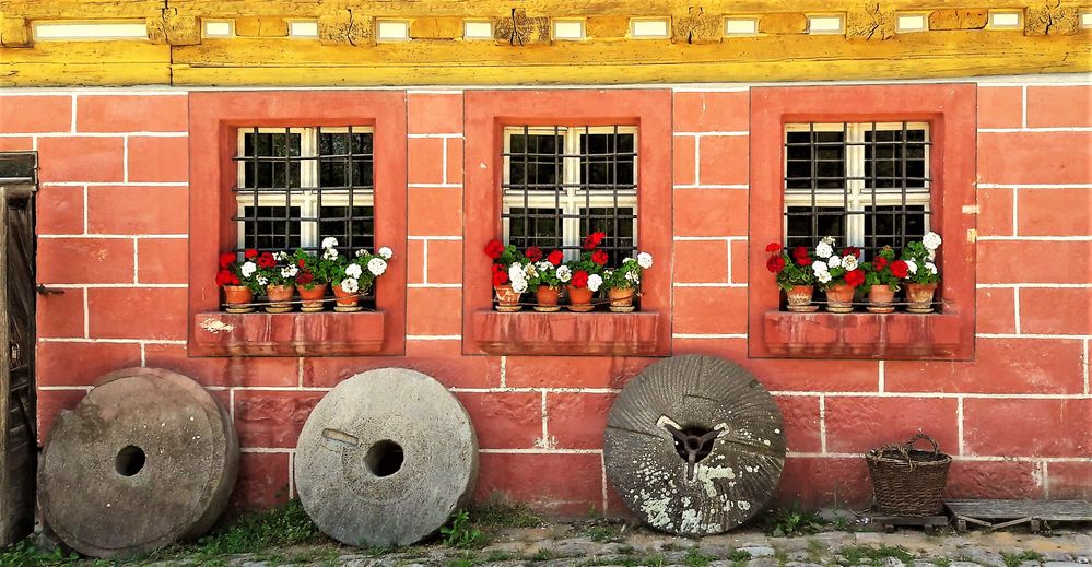 Mittwochsblümchen Museumsmühle Bad Windsheim