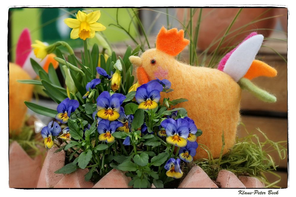 Mittwochsblümenchen, kurz vor Ostern