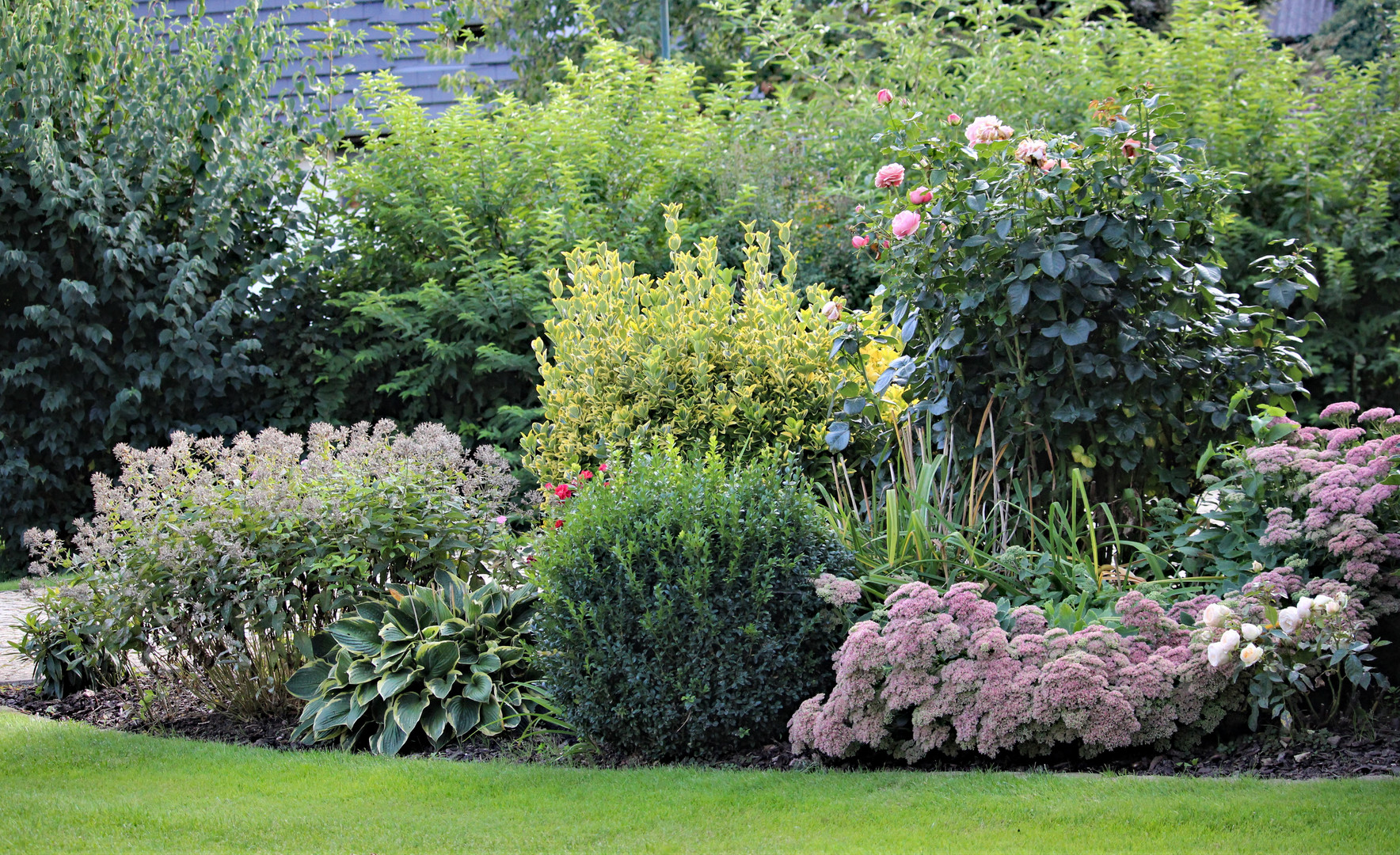 Mittwochsblüten im Garten