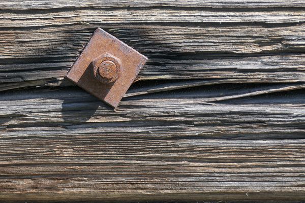 Mittwochsmutter auf altem Holz