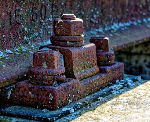 mittwochsmutter belegt den ersten platz