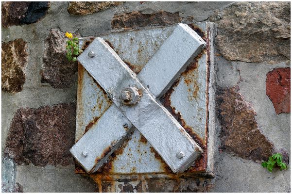 Mittwochsmutter - Eine, die alles zusammenhält