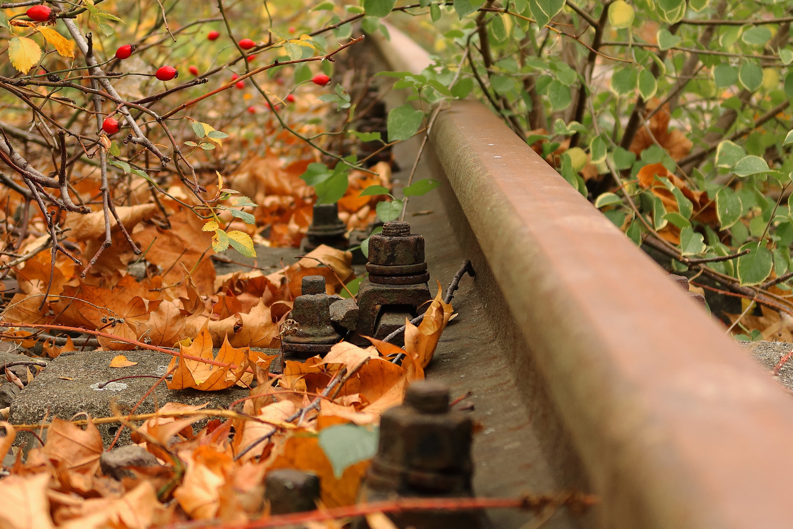 Mittwochsmuttern die nichts mehr halten müssen... am 16.11.2022