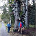 Mittwochswanderung bei Hinterzarten.