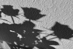 MIWOBLÜ  09.02.2022 "Schatten"