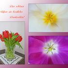 MiWoBlü - Ein Dank an die Tulpen, . . . 