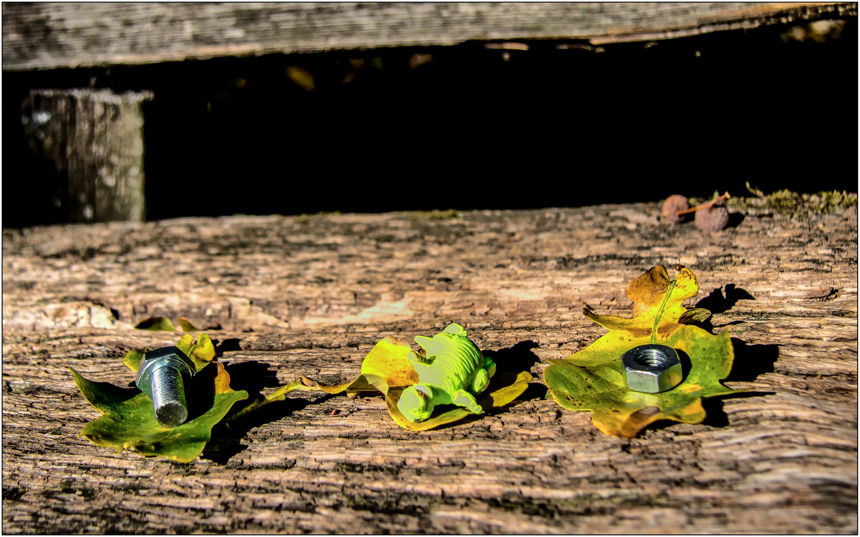 MiWoMu. Prinz Schraubi und Dinii ... Sonnenbank am Waldesrand ...