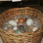 Mixed eggs