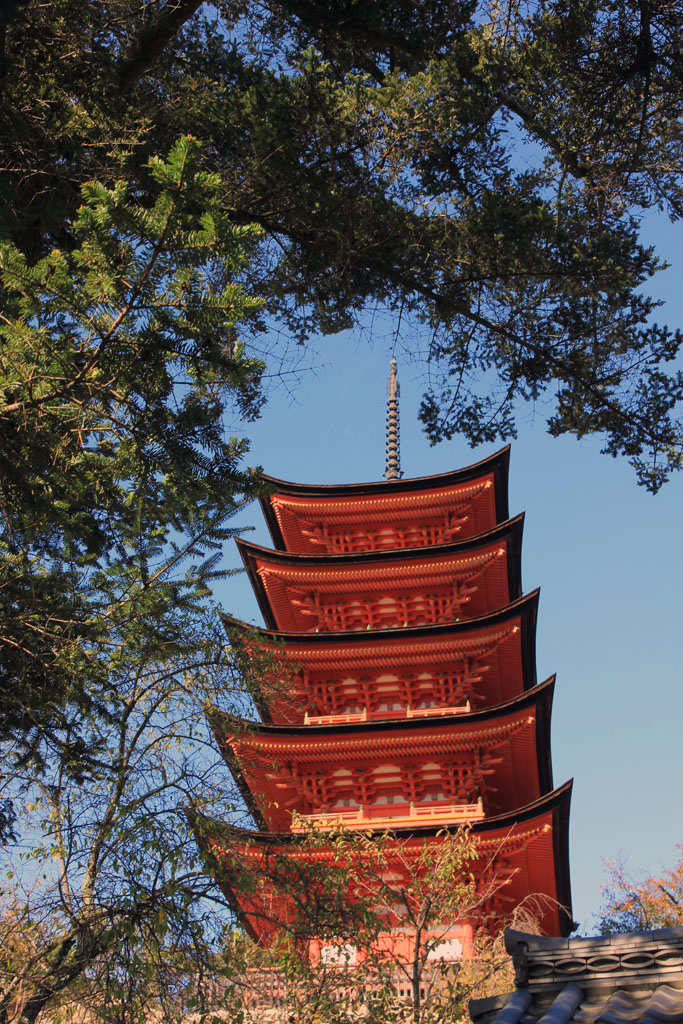 Miyajima 23