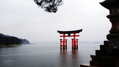 Miyajima